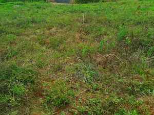 50×100 Acre of Land Near Karatina Town