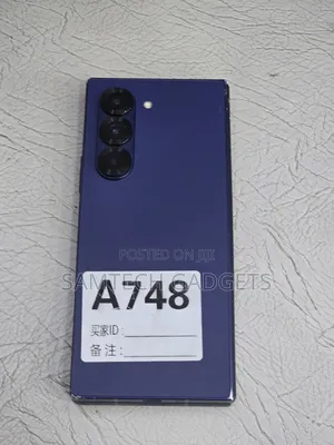 Samsung Galaxy Z Fold6 256 GB Blue