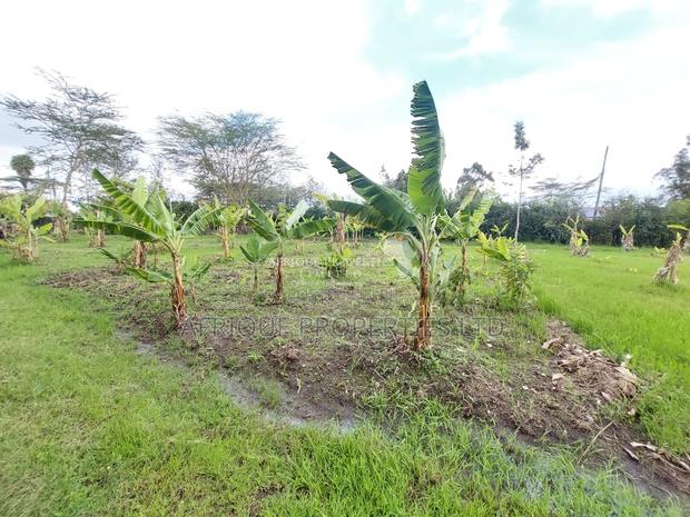 Karen Prime 1-Acre Residential Land for Sale - thumbnail 5