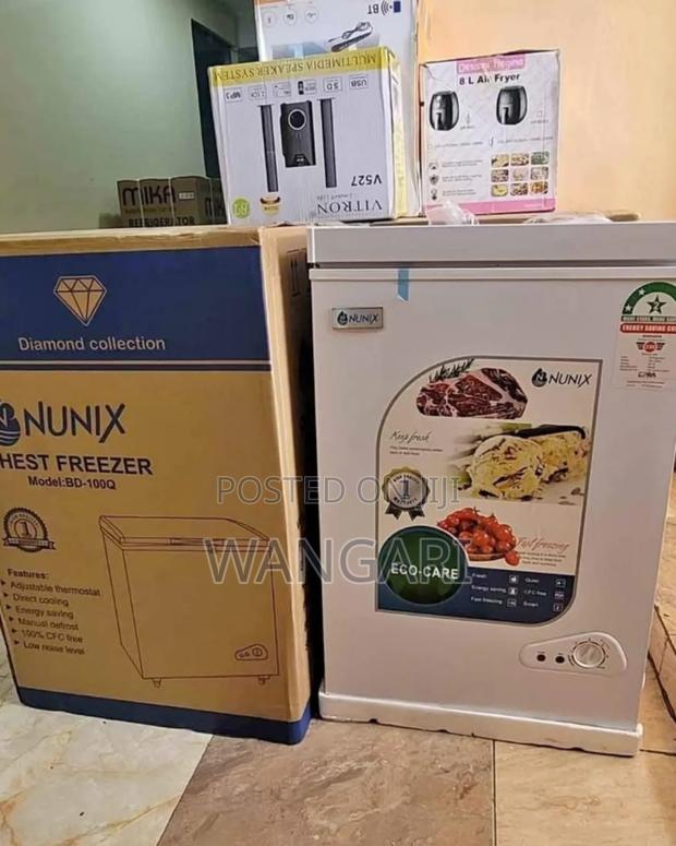 Nunix 100 L Freezer With Lockable Door