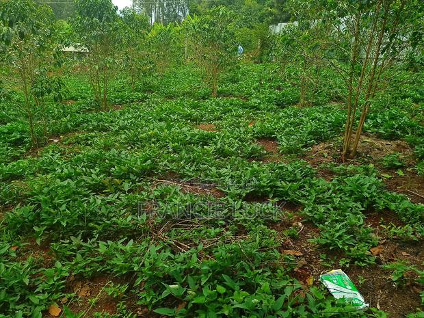 50*100 Land in Karatina Town Near Kirimara Boys