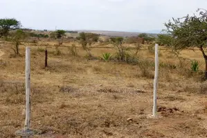 Konza Plots