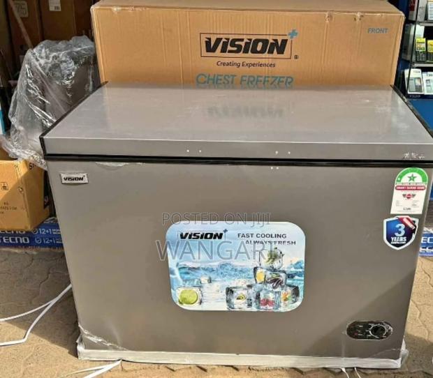 Low Power Consumption 300 Litres Vision Chest Freezer