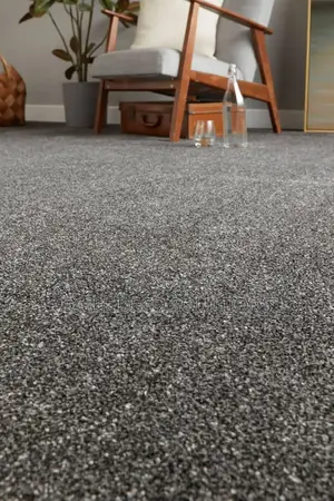 Delta Wall to Wall Carpet Modern Carpet Flooring for Office Interior