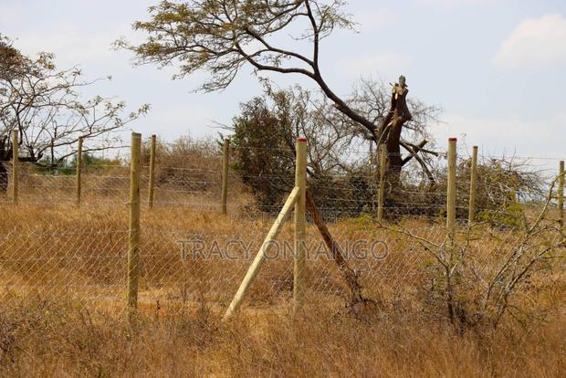 Konza Plots - thumbnail 3