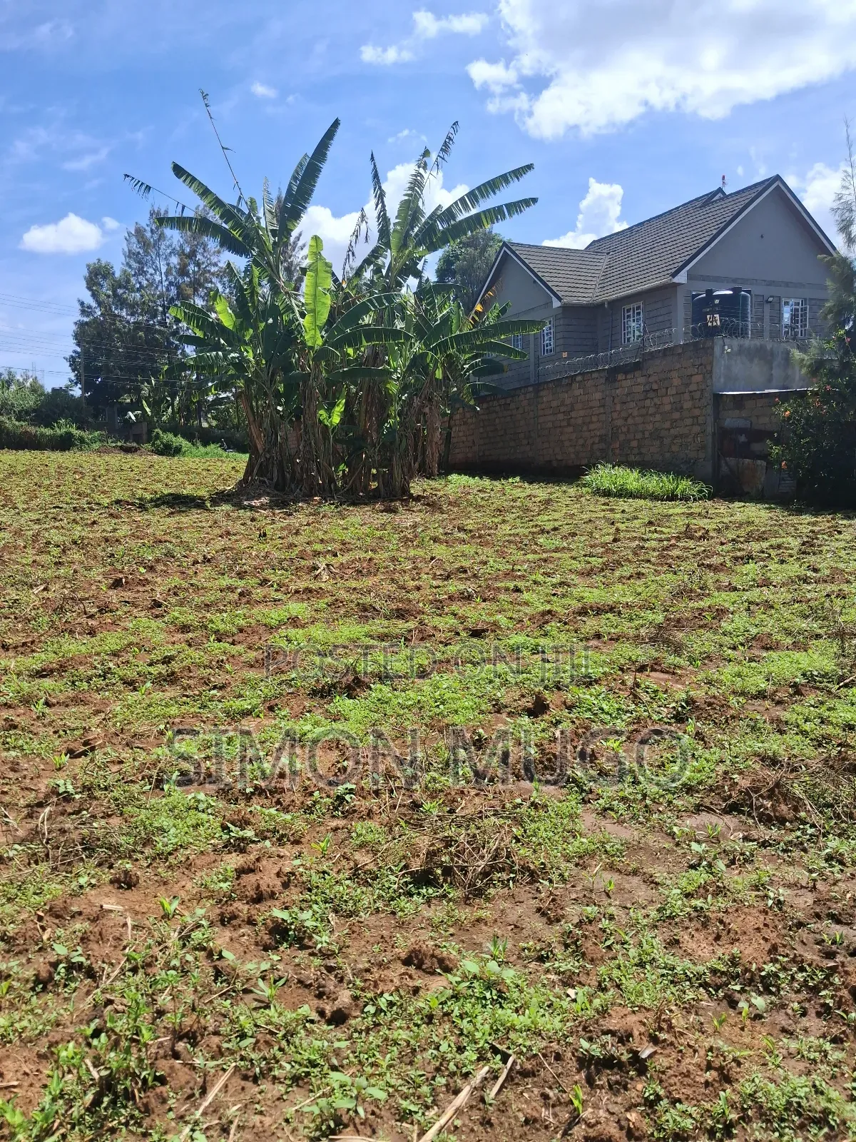 Mugumo Estate Off Ruiru Kiambu Road Prime Well Drained 1/2 Acre