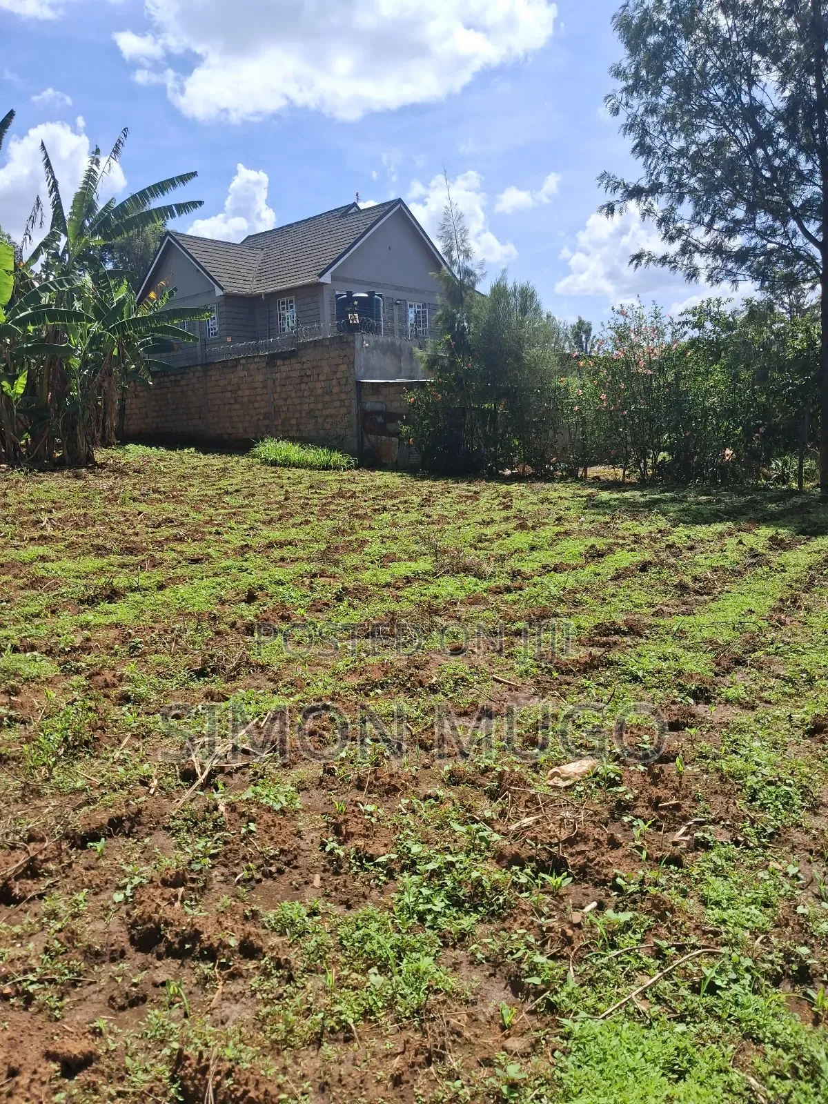 Mugumo Estate Off Ruiru Kiambu Road Prime Well Drained 1/2 Acre