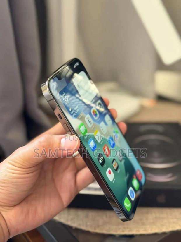 Apple iPhone 12 Pro Max 256 GB Gray - thumbnail 5