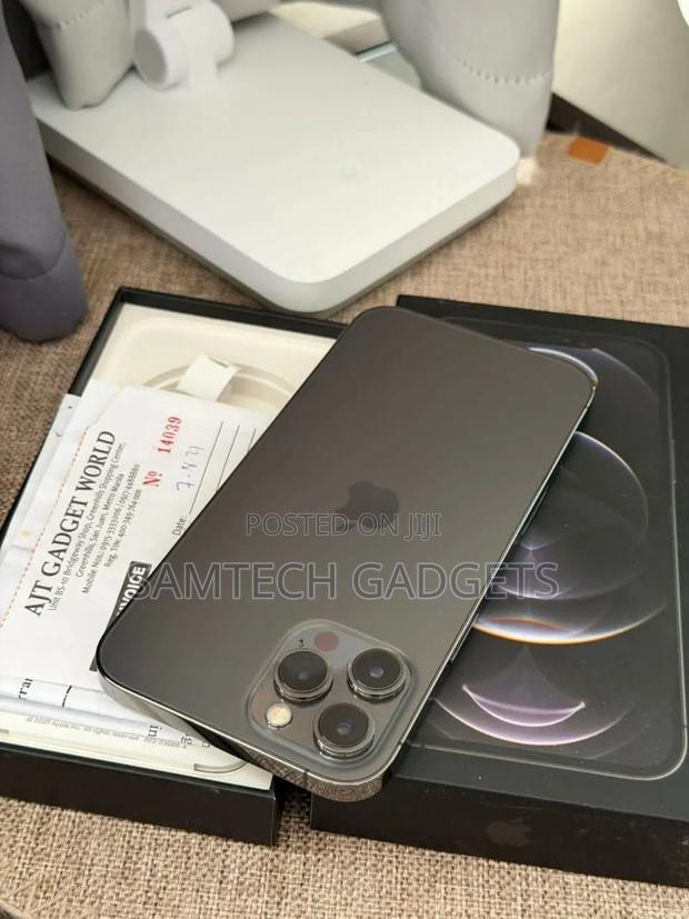 Apple iPhone 12 Pro Max 256 GB Gray - thumbnail 4
