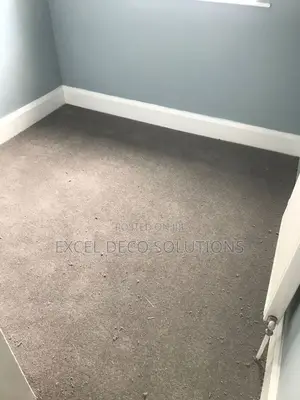 Delta Wall to Wall Carpet Heavy Duty Carpet for Office Shop and Hotel