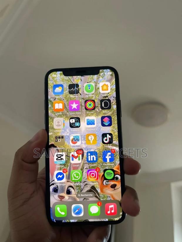 Apple iPhone X 256 GB Gray