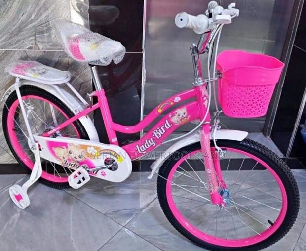 Lady Bird Bike Size 20'