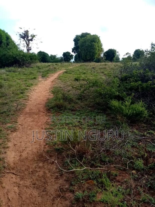 Sale of 3 Acres Kiritiri - thumbnail 4