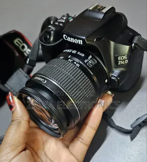 Canon 250d With 18-55mm Lens 64gb Extreme Card