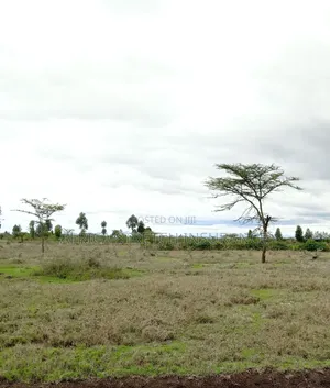 Land For Sale Laikipia East Makutano