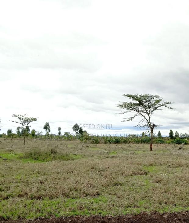 Land For Sale Laikipia East Makutano