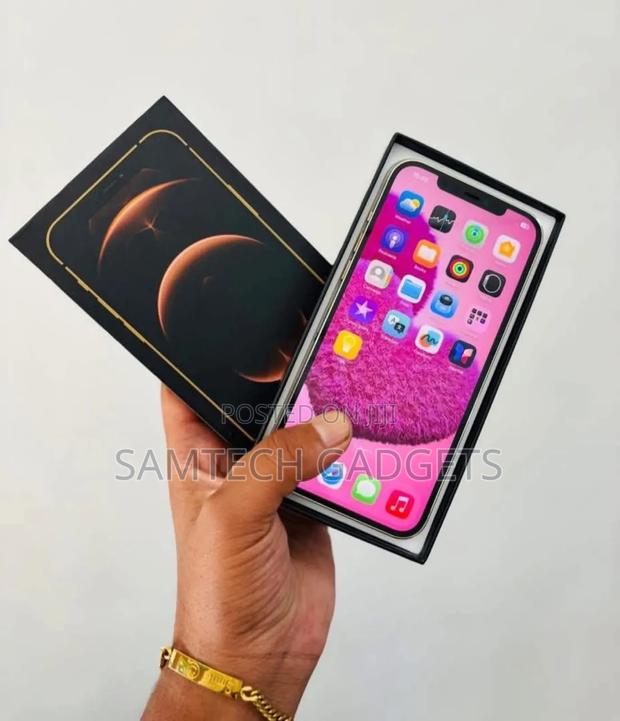 New Apple iPhone 12 Pro Max 256 GB Gold - thumbnail 3
