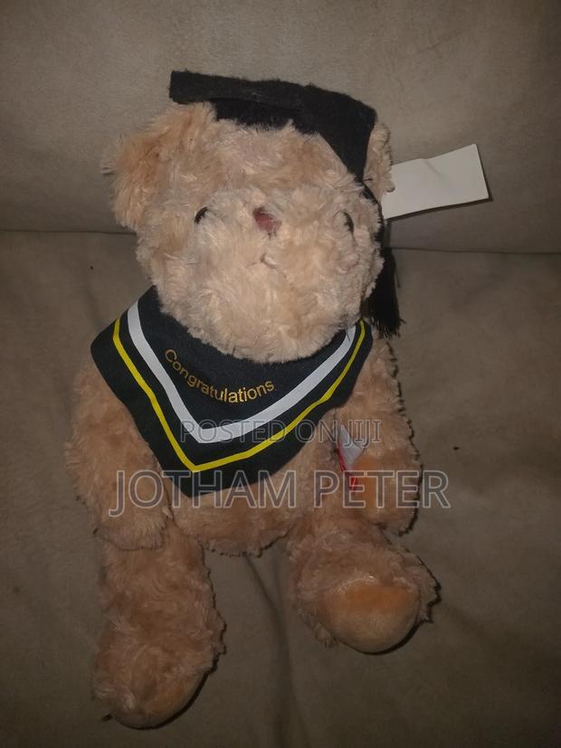 Graduation Teddy Bear - main view