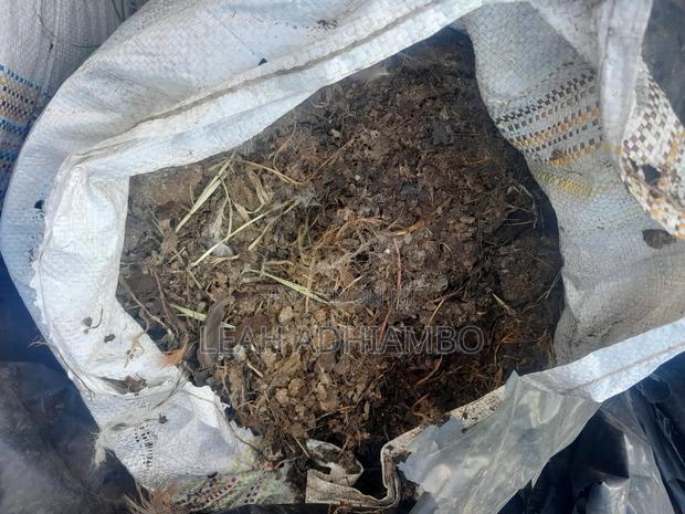 Chicken Manure/Fertilizer - thumbnail 2