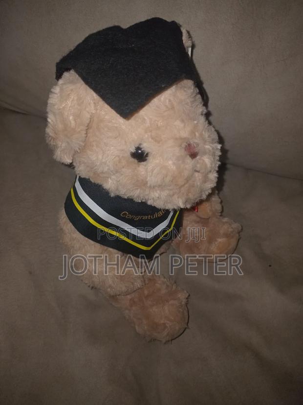Graduation Teddy Bear - thumbnail 3