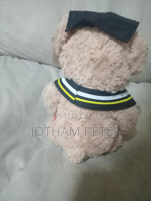 Graduation Teddy Bear - thumbnail 4