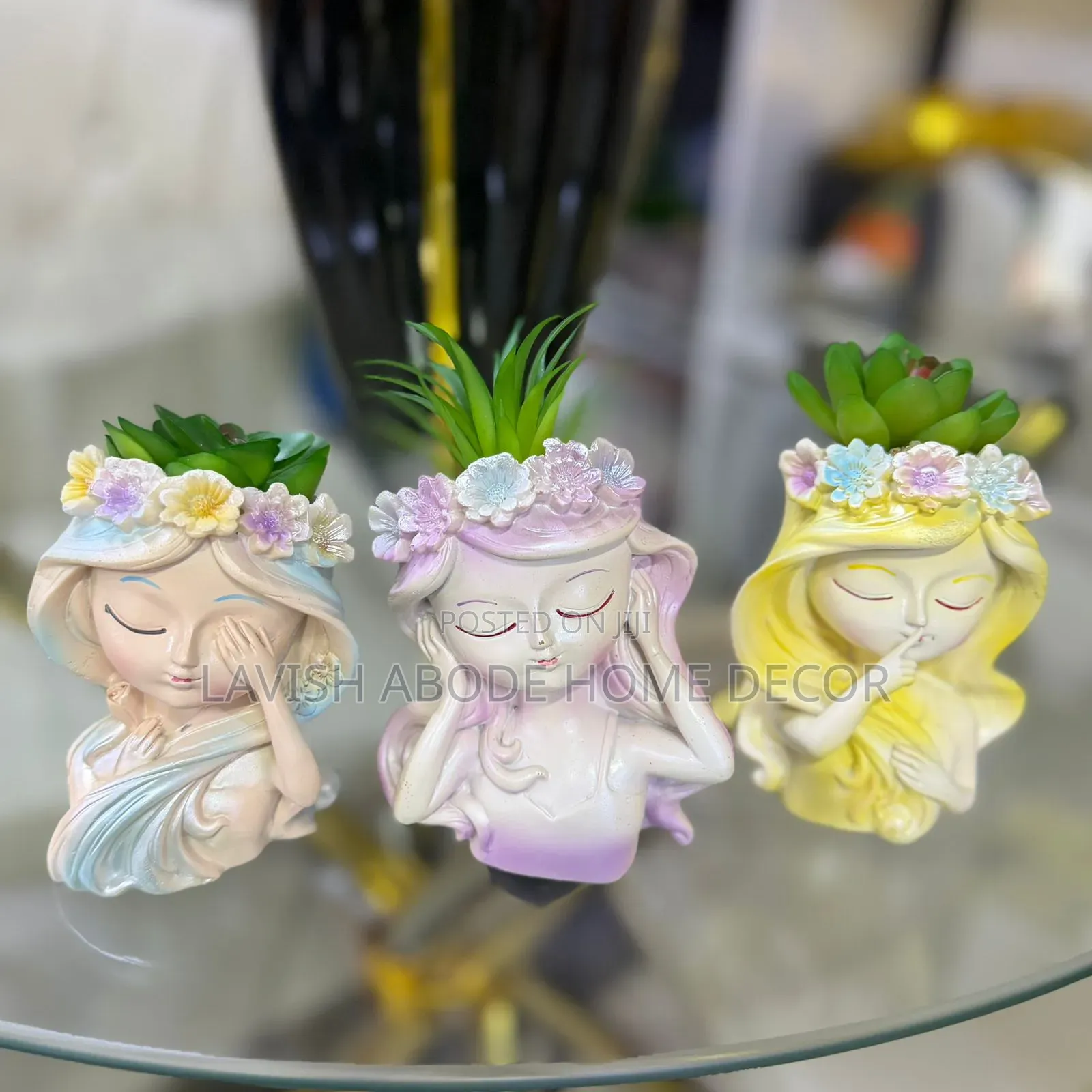 Little Doll -Like Decorative Succulent