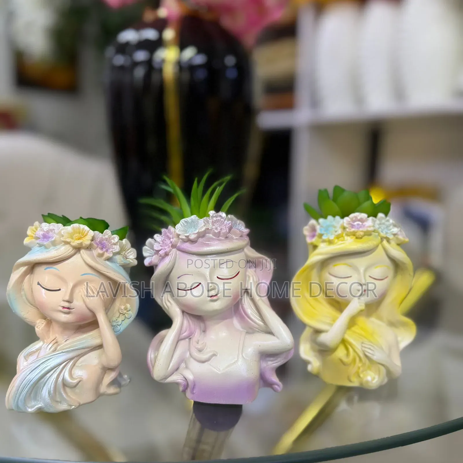 Little Doll -Like Decorative Succulent