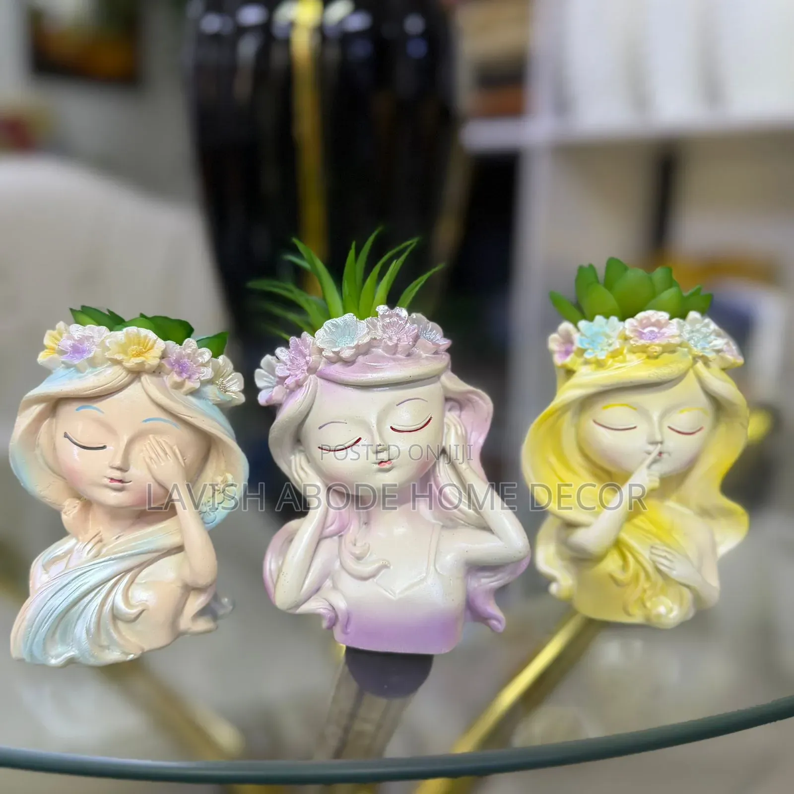 Little Doll -Like Decorative Succulent