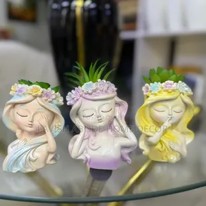 Little Doll -Like Decorative Succulent