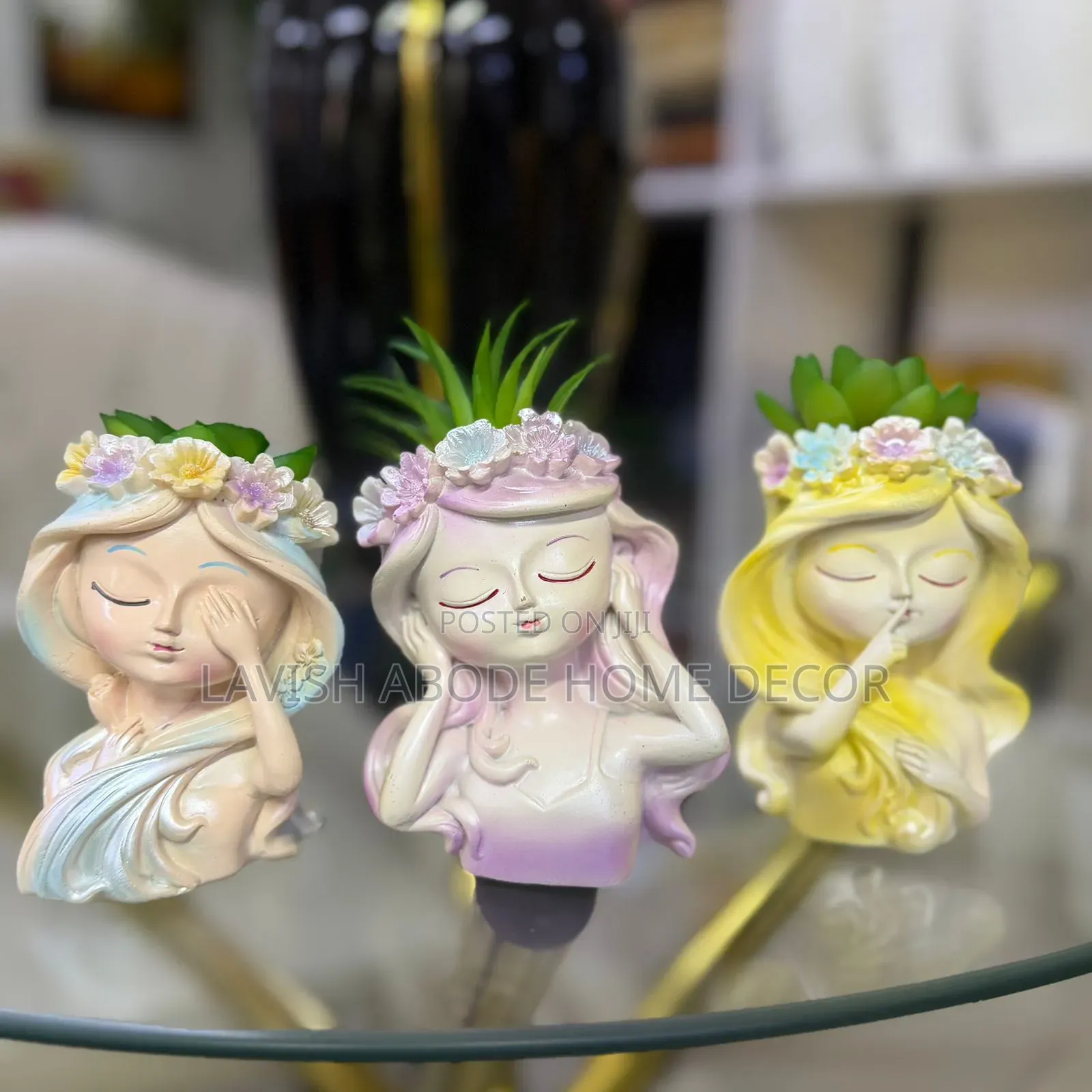 Little Doll -Like Decorative Succulent