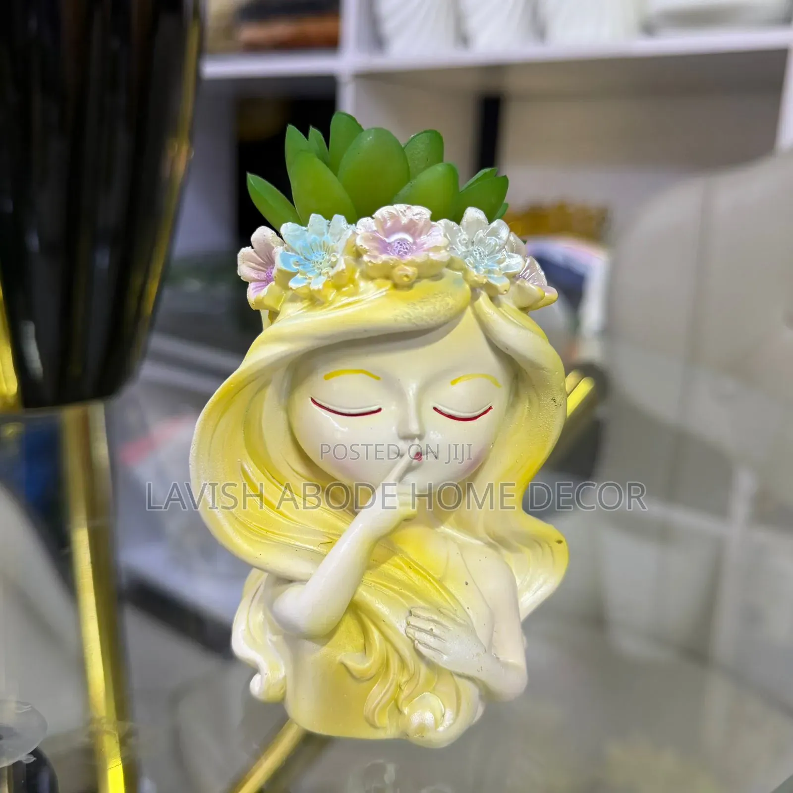 Little Doll -Like Decorative Succulent
