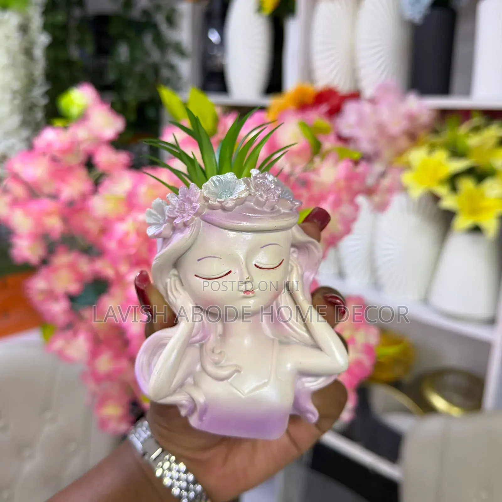 Little Doll -Like Decorative Succulent