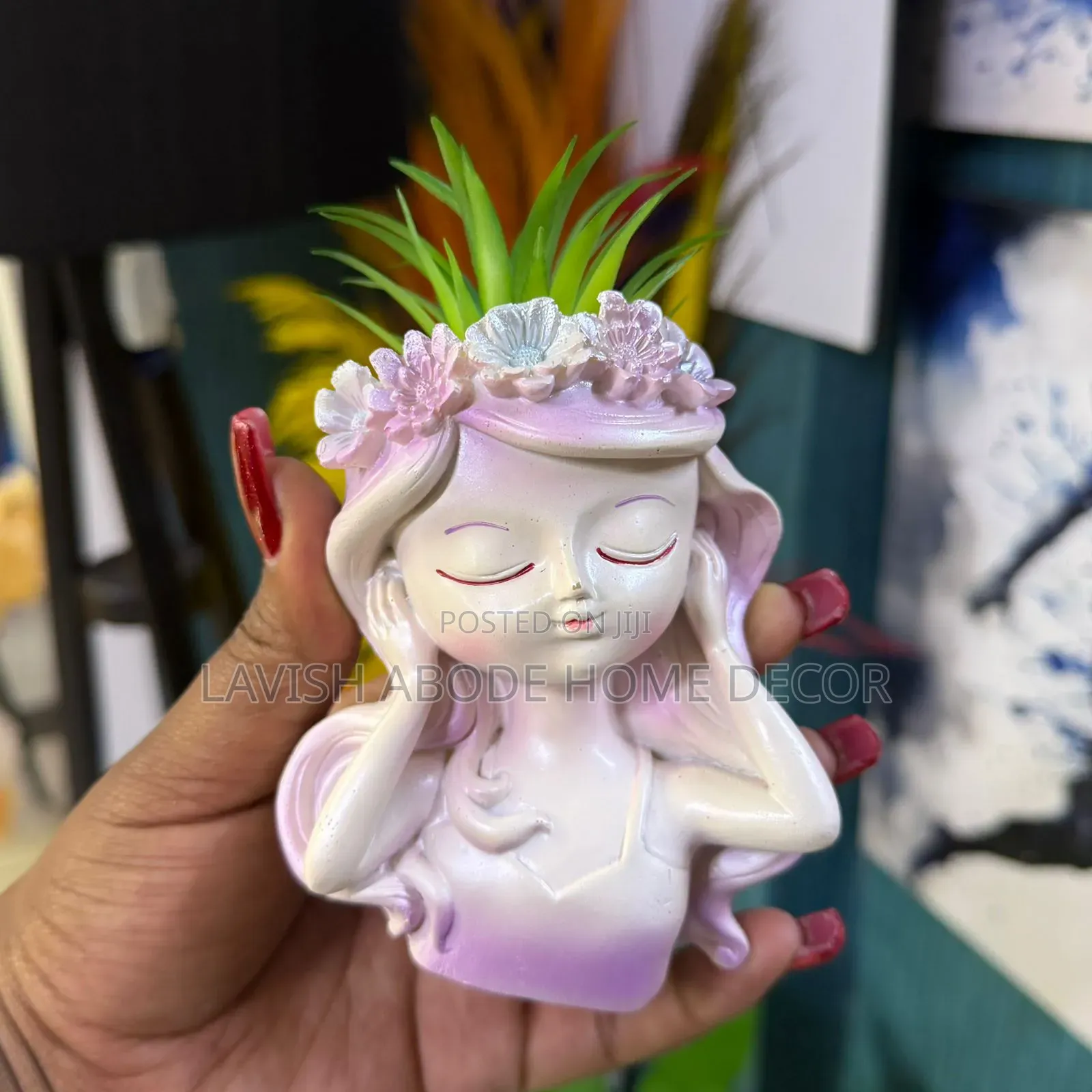 Little Doll -Like Decorative Succulent