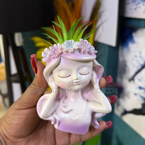 Little Doll -Like Decorative Succulent - thumbnail 9