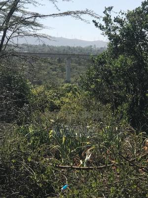 1/8acre Plots/Land for Sale - thumbnail 2