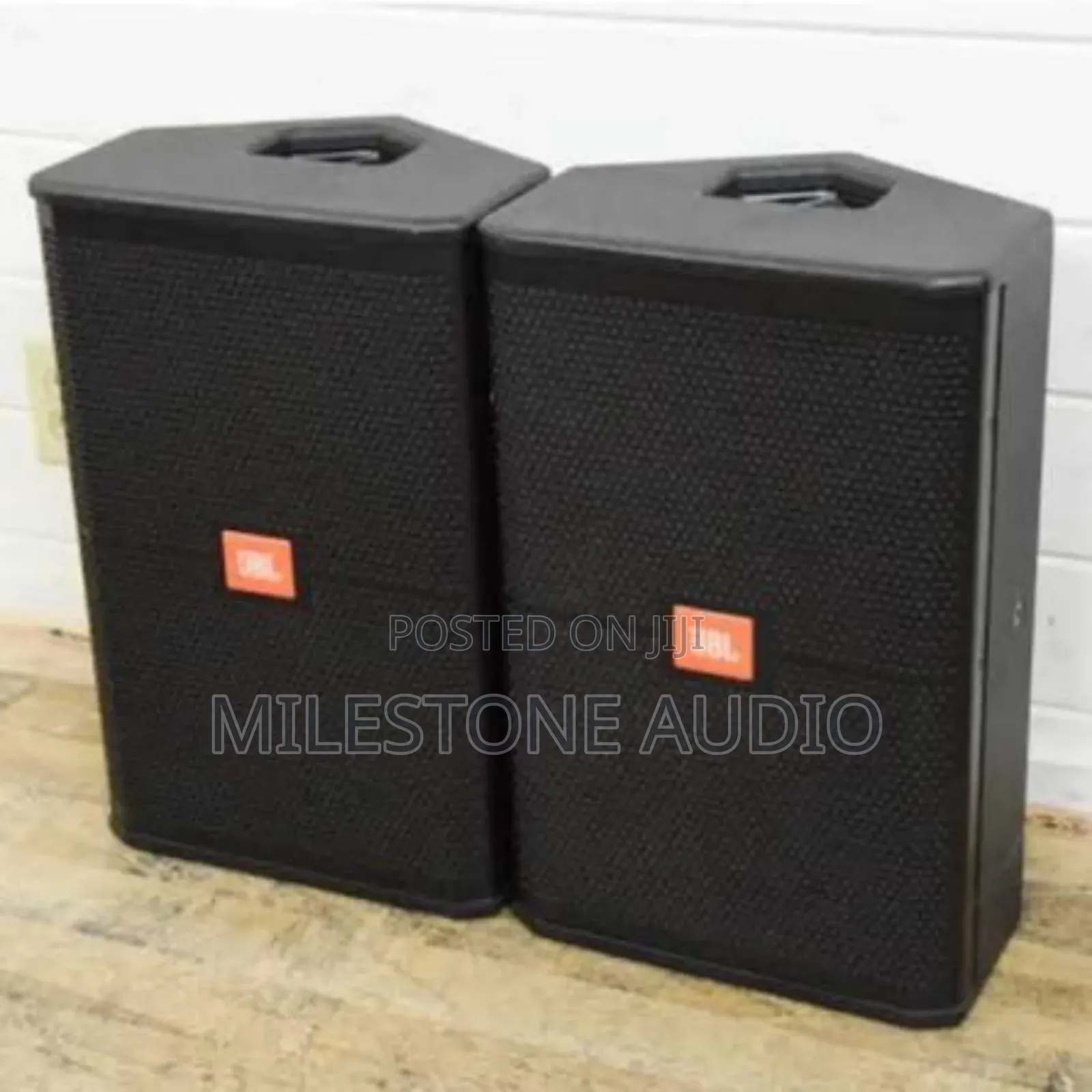 12′′ High-Power Two-Way Stage Monitor