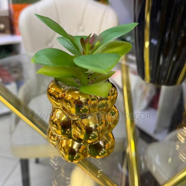 Gold/Green Decorative Homes/Office Succulent - thumbnail 4