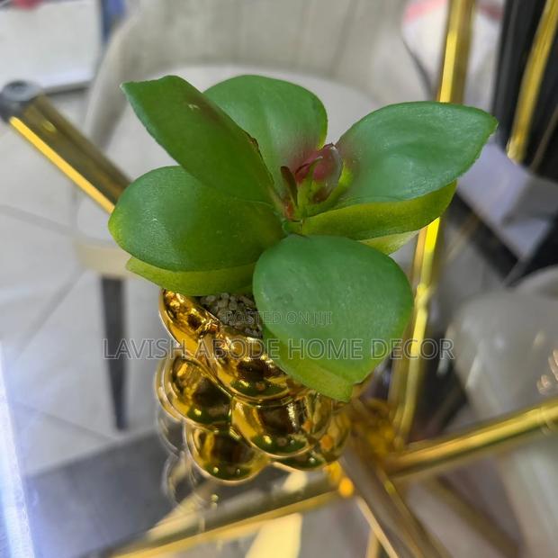 Gold/Green Decorative Homes/Office Succulent - thumbnail 5