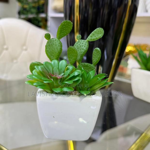 White Decorative Table Top/Washroom Cactus Succulent - main view