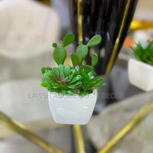 White Decorative Table Top/Washroom Cactus Succulent - thumbnail 2
