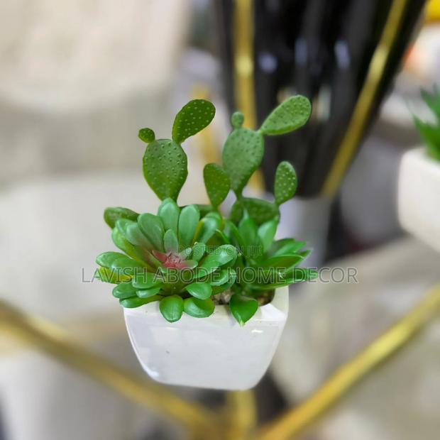 White Decorative Table Top/Washroom Cactus Succulent - thumbnail 3