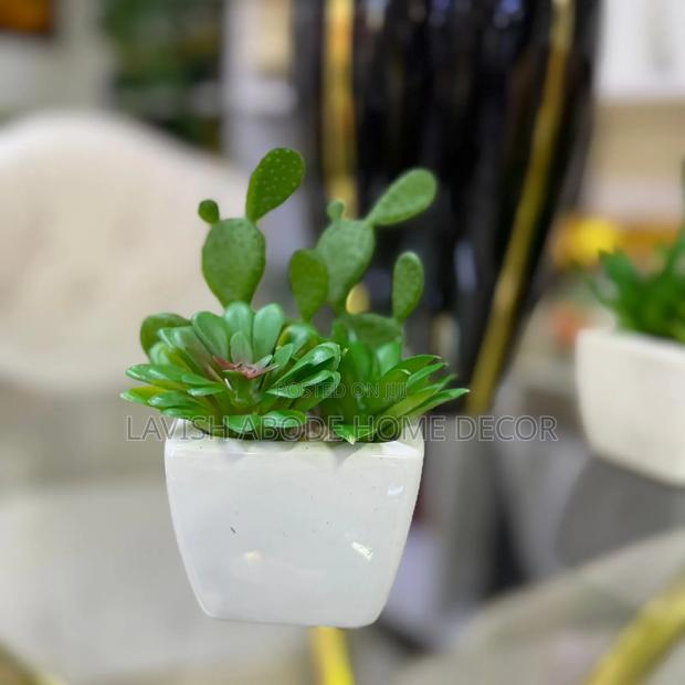 White Decorative Table Top/Washroom Cactus Succulent - thumbnail 4