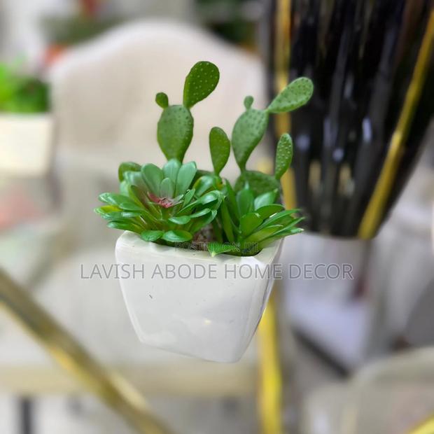 White Decorative Table Top/Washroom Cactus Succulent - thumbnail 5