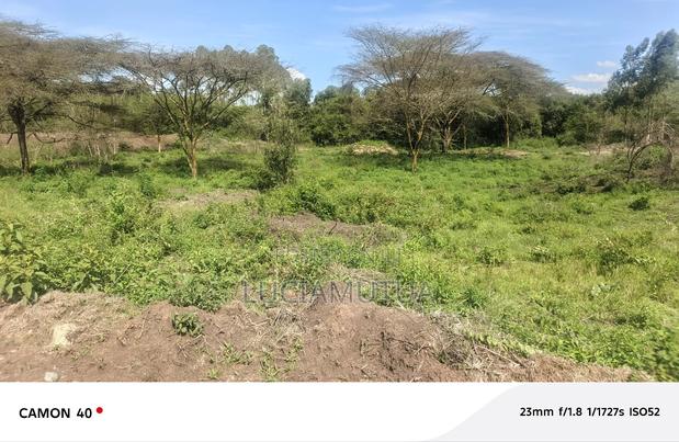 Half Acre Land in Karen Kephis - thumbnail 10