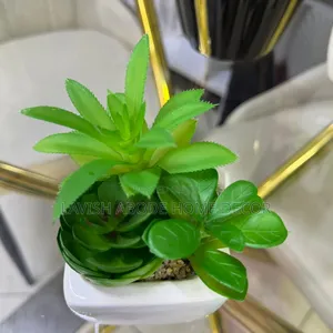 Large Artificial Succulent in White Ceramic Pot – Home Office Décor