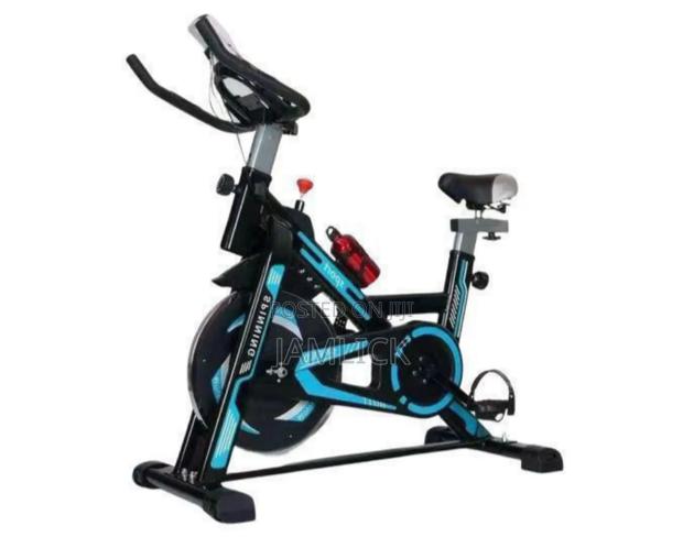 35kg Blue Spin Bike –Js