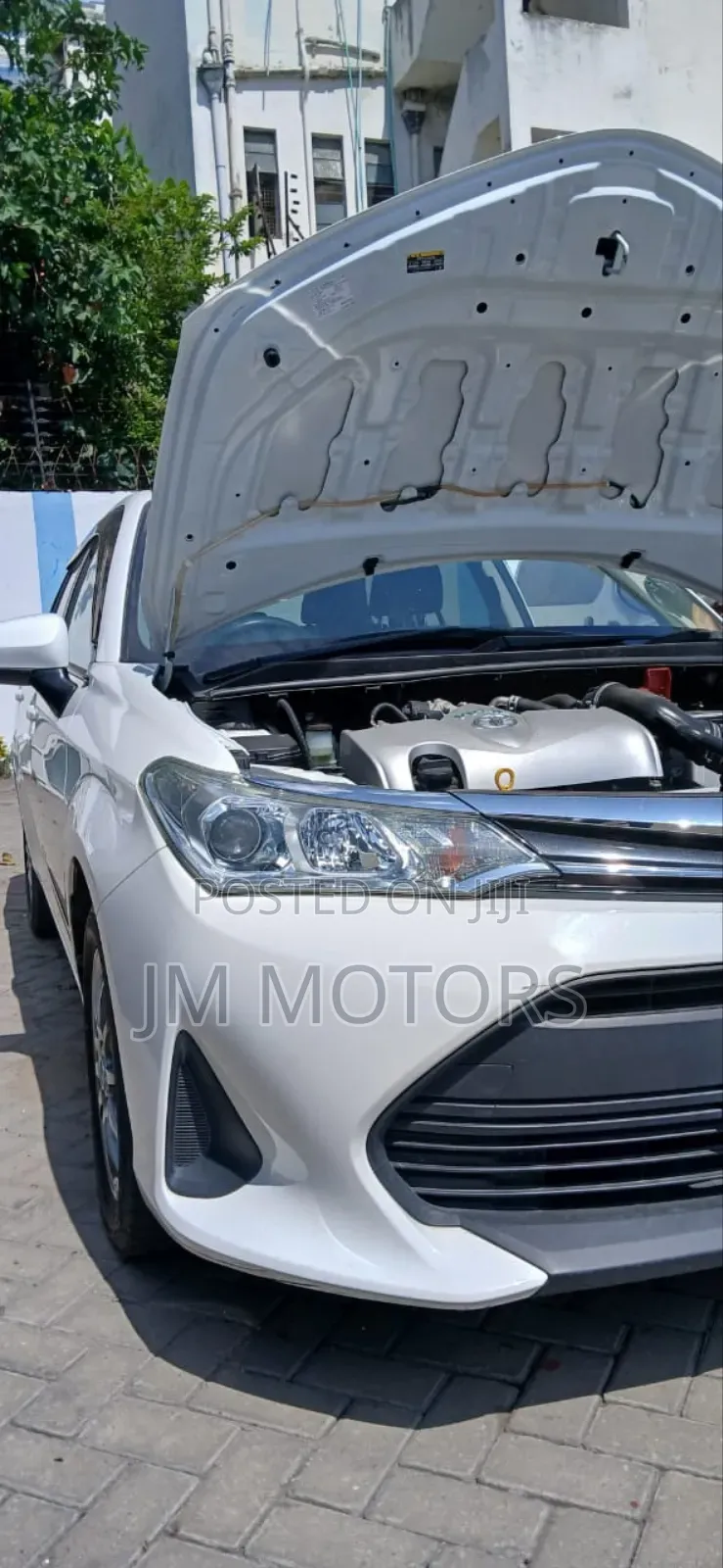Toyota Corolla Fielder 2019 White