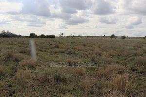 1 Acre Plot in Kisaju - thumbnail 2