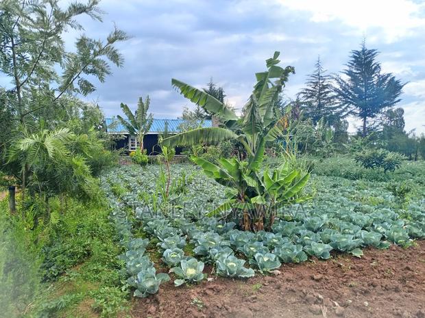 2.5 Acrea Located Ngando Kangaita Nanyuki - thumbnail 5