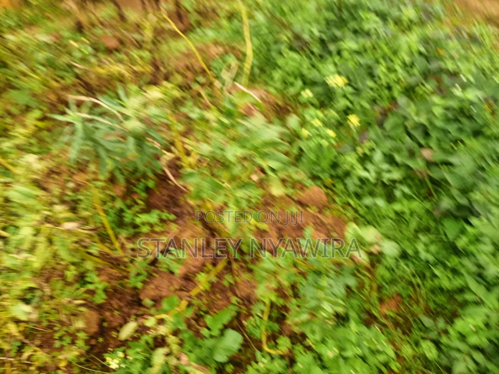 2.5 Acrea Located Ngando Kangaita Nanyuki